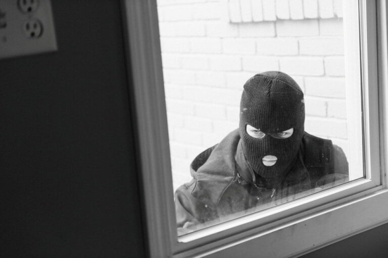 cyberprzestępca, cyberbezpieczeństwo