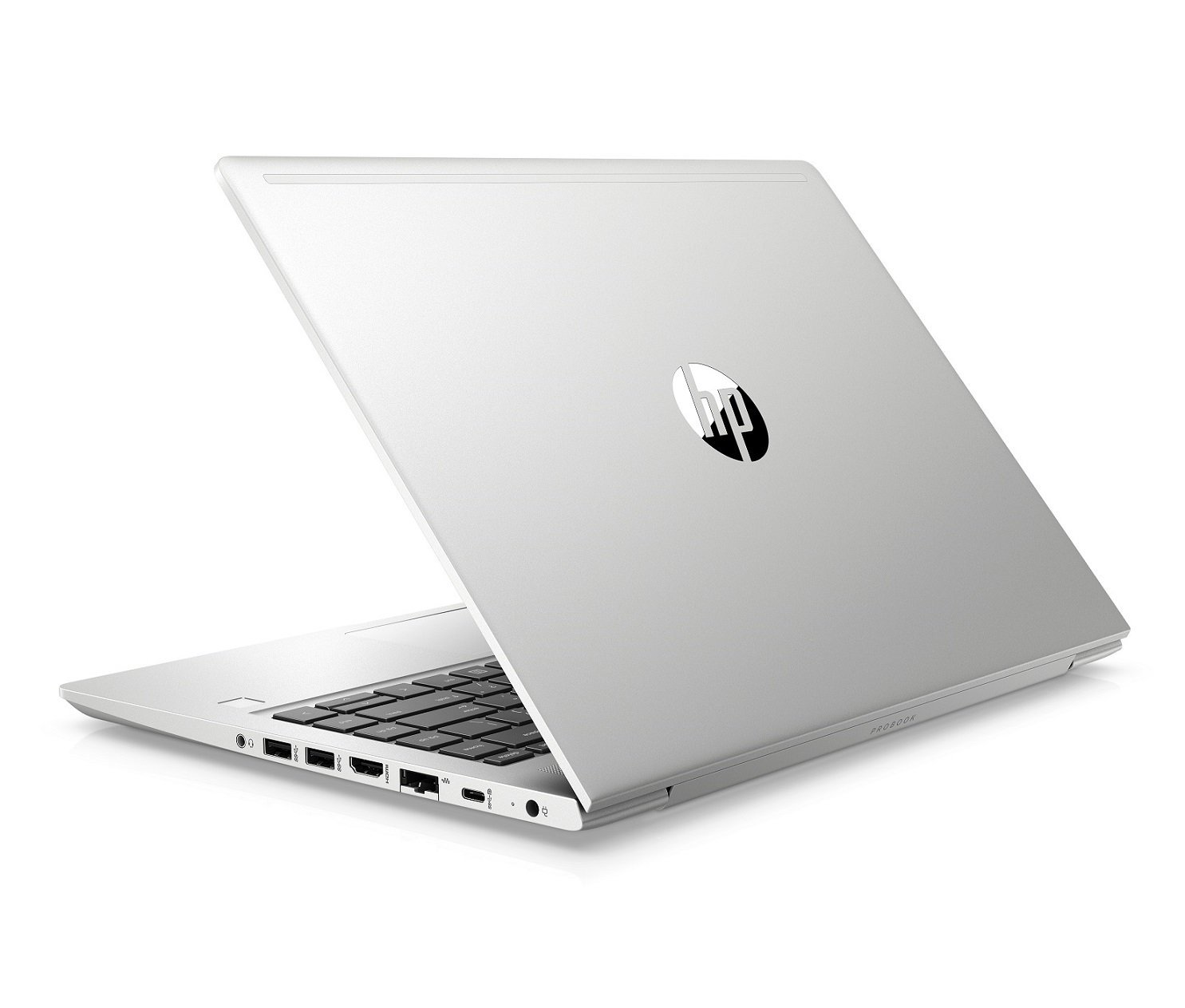 HP ProBook 445 G6_Rear Left