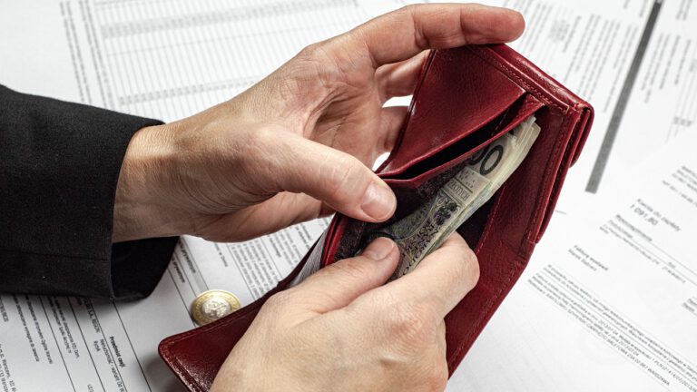 płn, pieniądze, portfel