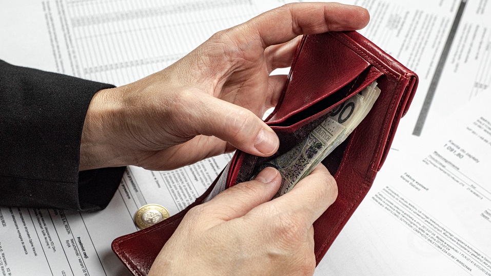 płn, pieniądze, portfel