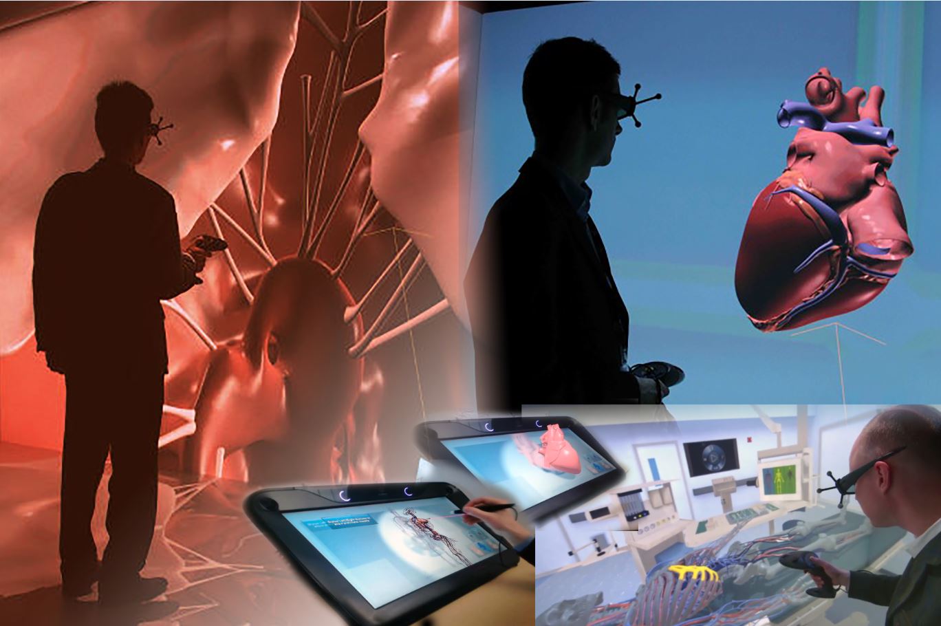 Living Heart, Dassault Systèmes