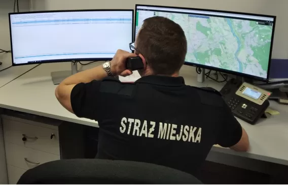 system bezpieczeństwa publicznego