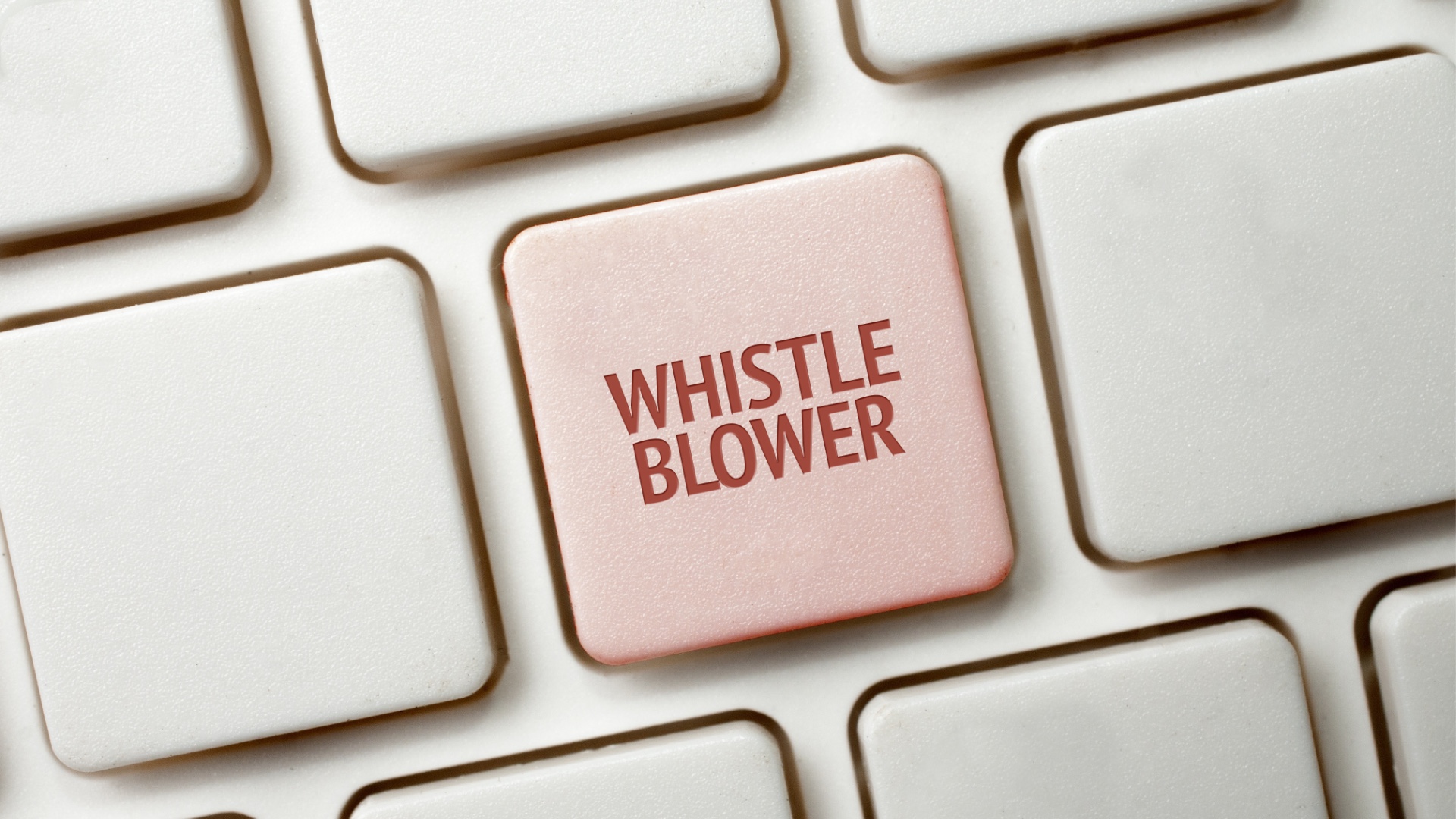 sygnaliści, whistleblower