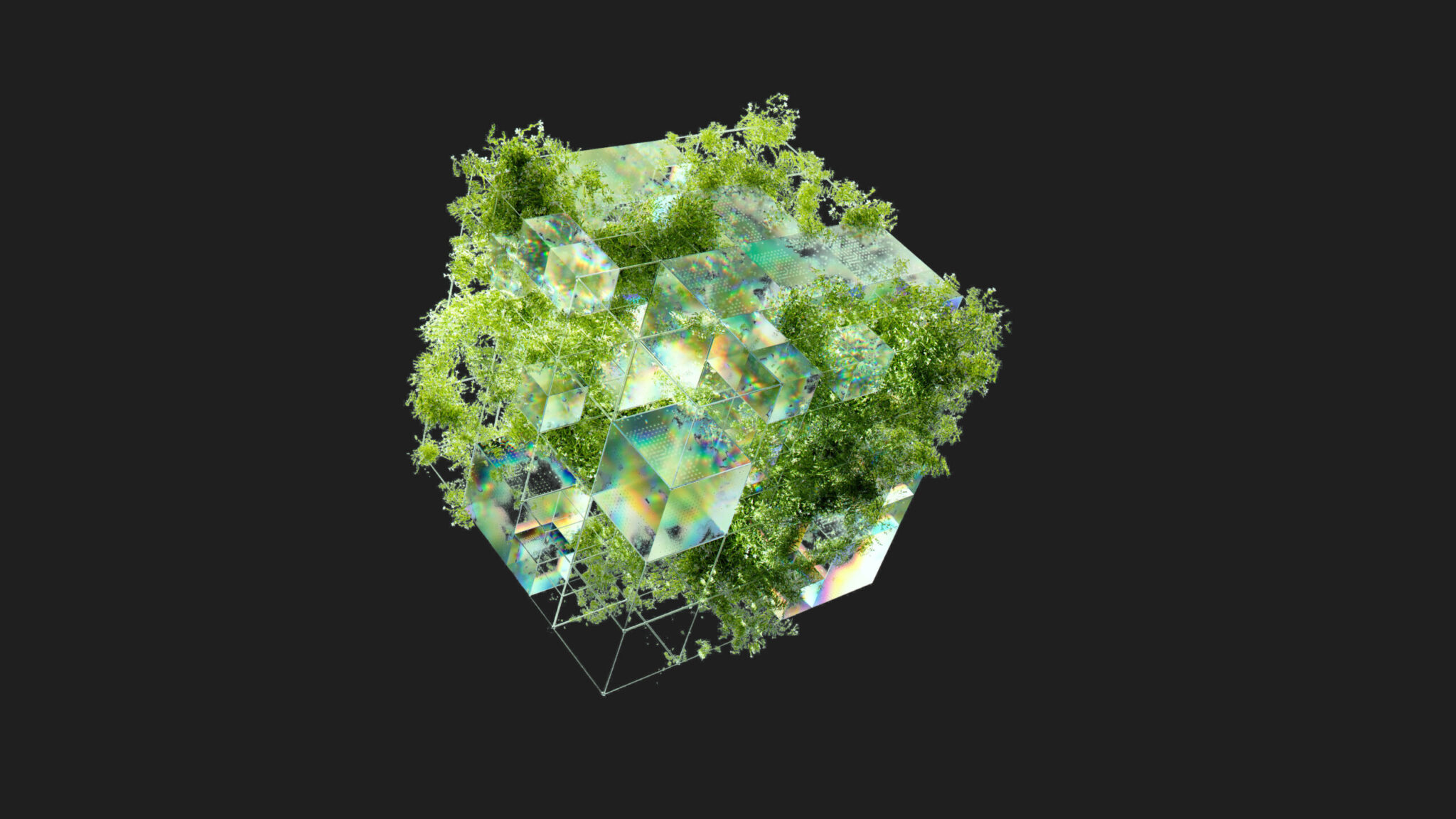 środowisko, zrównoważony rozwój