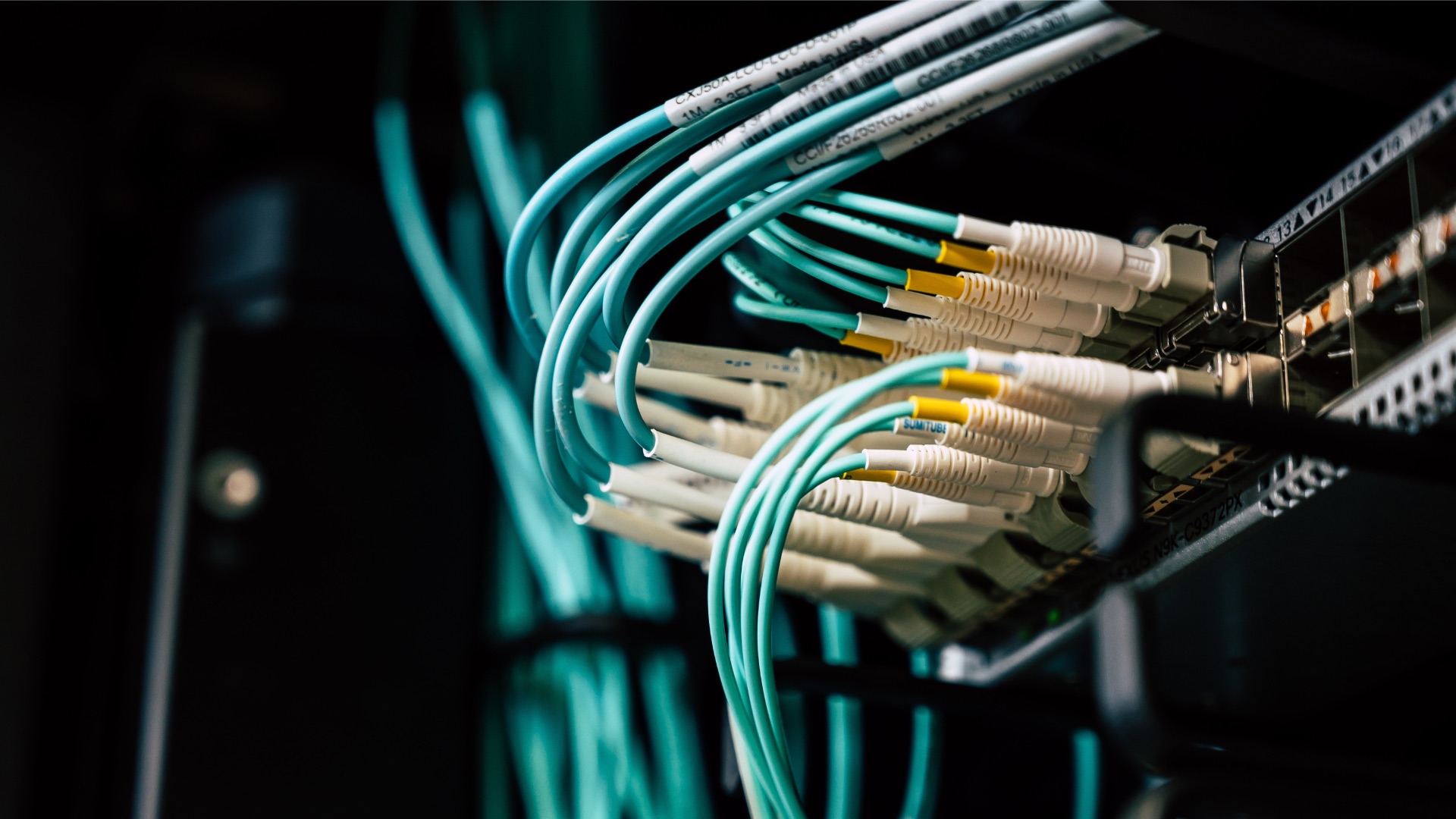 sieć, data center, łączność