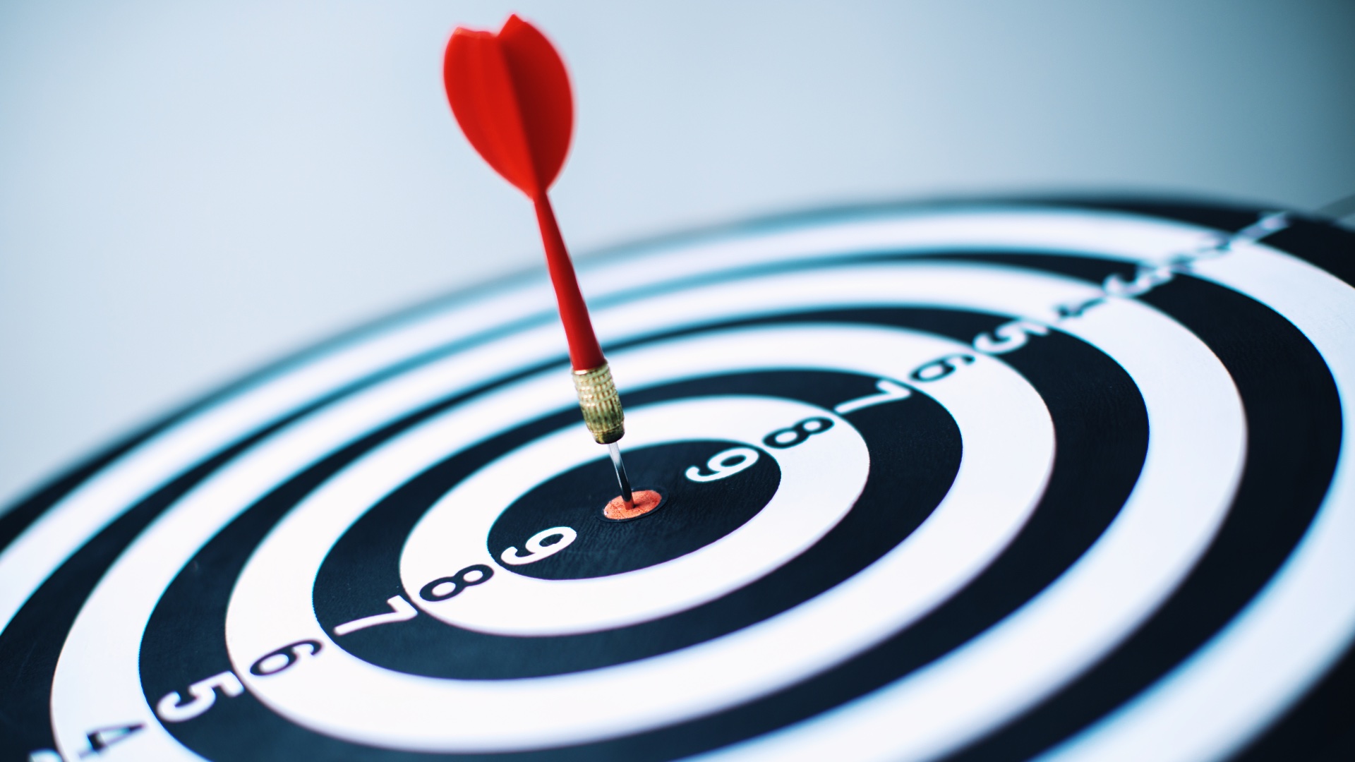 programy partnerskie IT, przywództwo