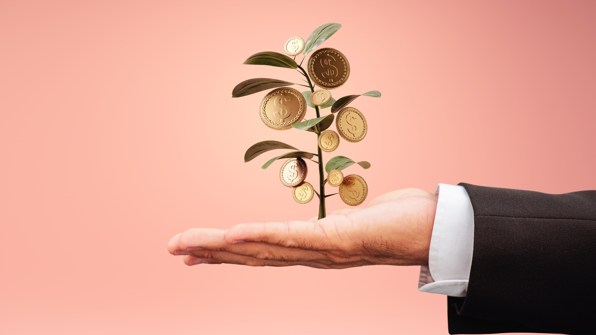 Venture capital, startup