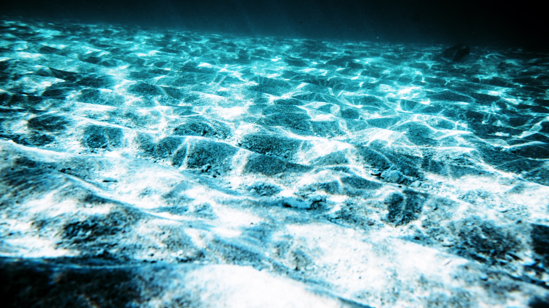 woda, podwodny świat, sieć neuronowa