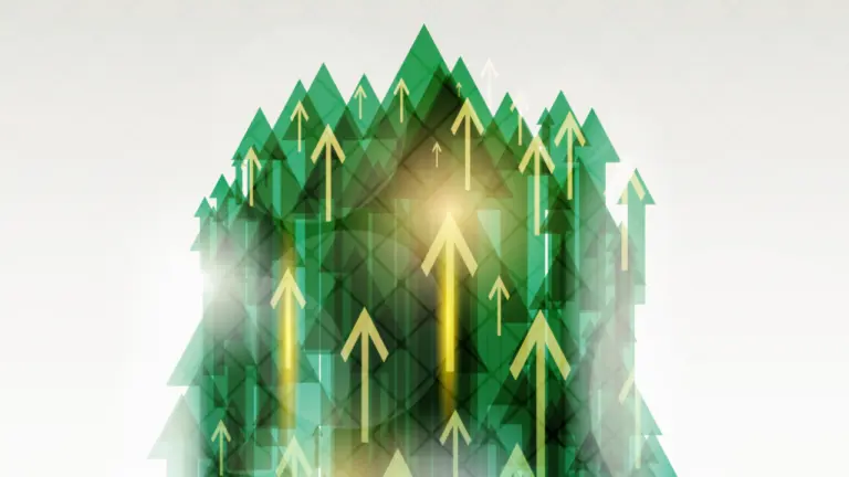 rynek Venture Capital